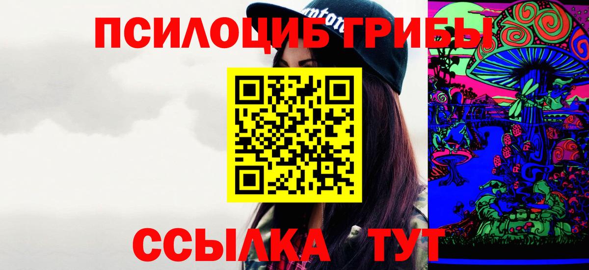 Грозный  Псилоцибиновые грибы мицелий  Вход с VPN 
